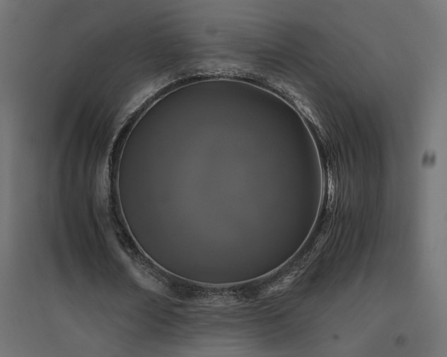 X0000094910674200711291256