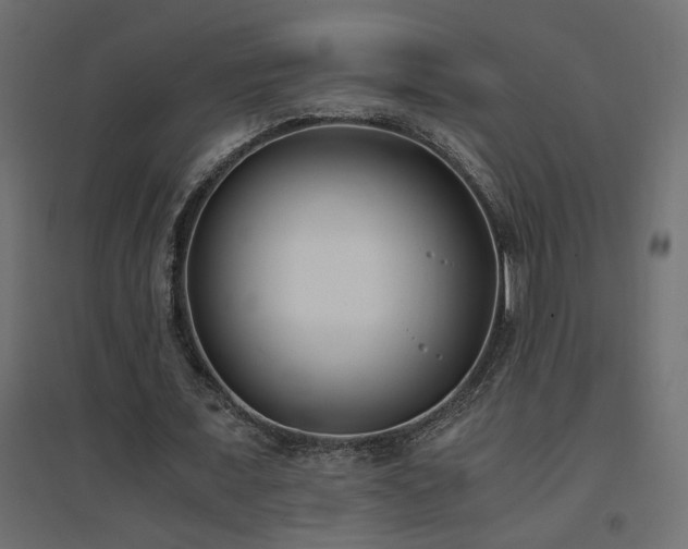X0000094910675200711291256