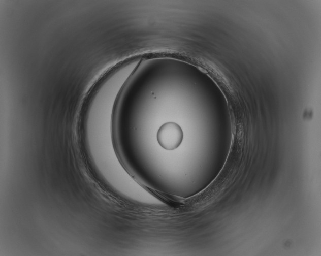 X0000094910676200711291256