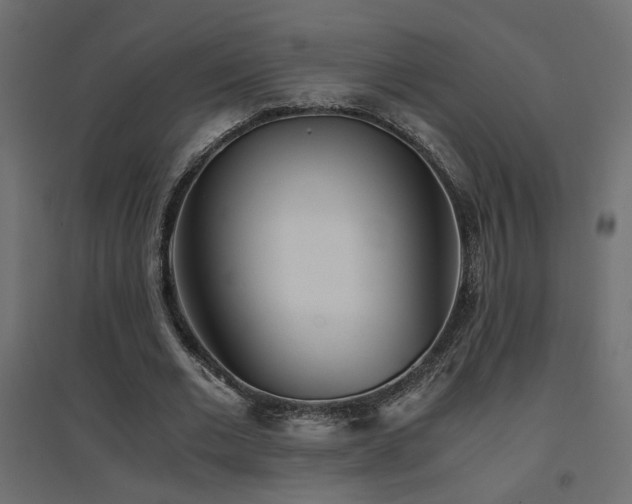 X0000094910677200711291256