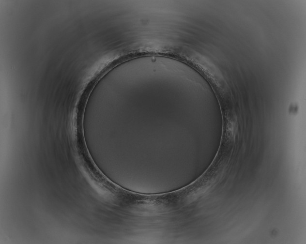 X0000094910678200711291256