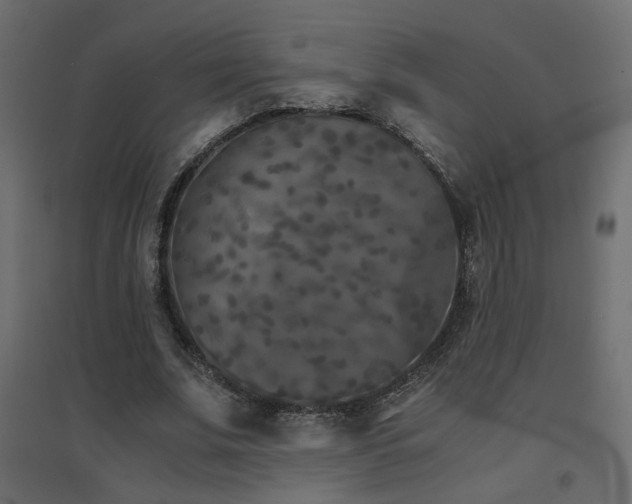X0000094910679200711291256