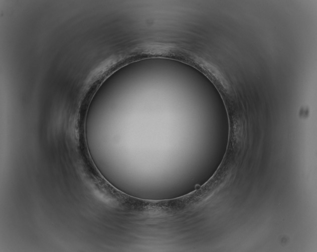 X0000094910682200711291256