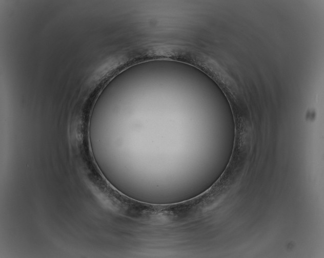 X0000094910683200711291256