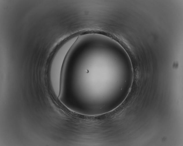 X0000094910684200711291256