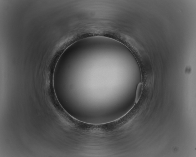 X0000094910685200711291256