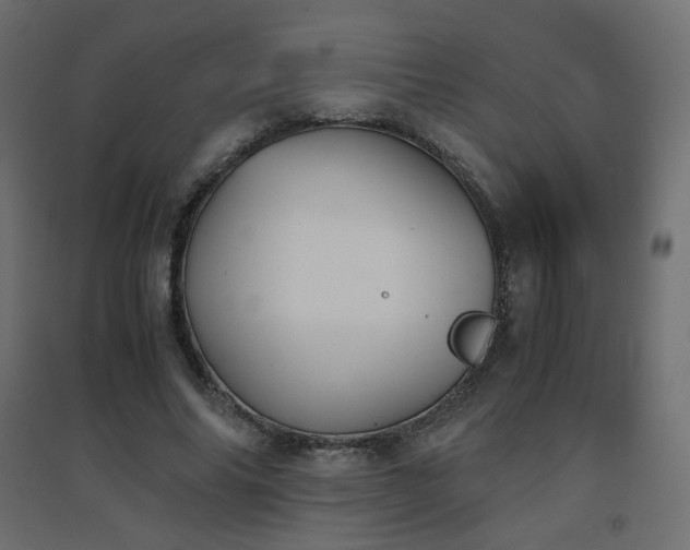 X0000094910686200711291256