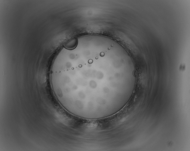 X0000094910687200711291256