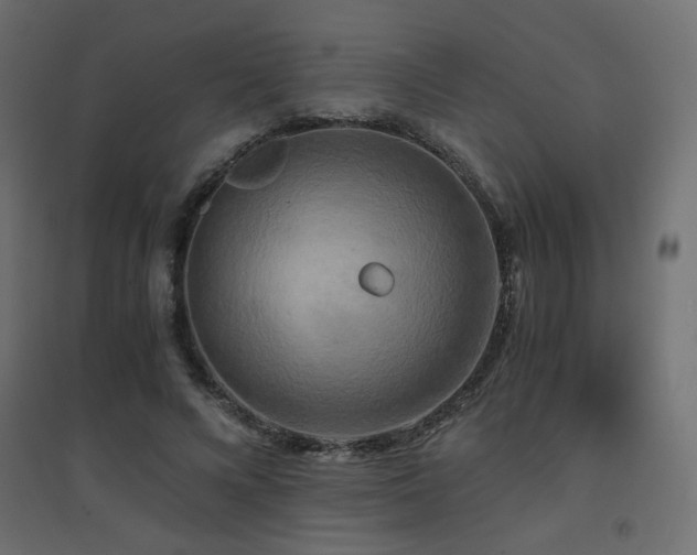 X0000094910688200711291256
