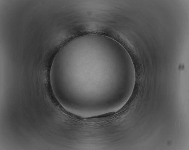 X0000094910689200711291256