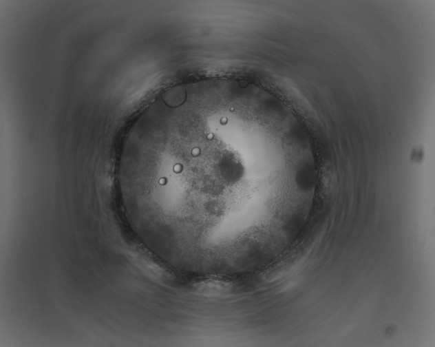 X0000094910691200711291256