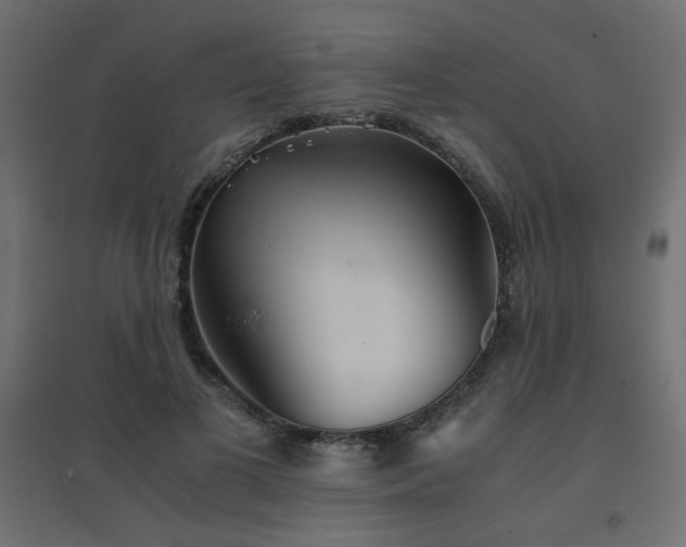 X0000094910693200711291256