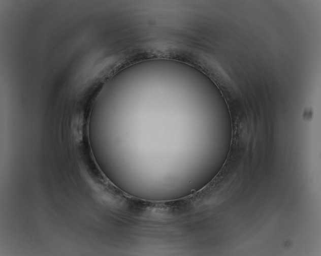 X0000094910694200711291256