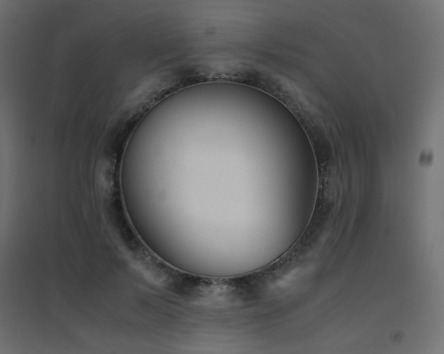 X0000094910695200711291256