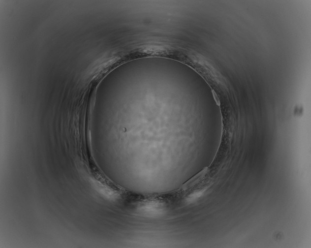 X0000094910696200711291256