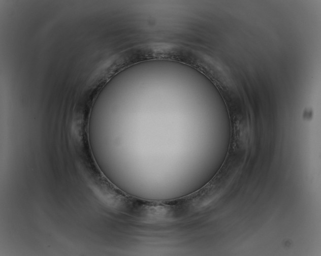 X0000094910698200711291256