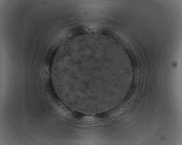 X0000094910699200711291256
