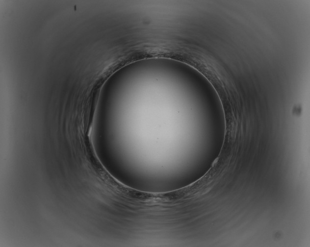 X0000094910700200711291255