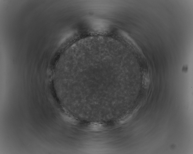 X0000094910701200711291255