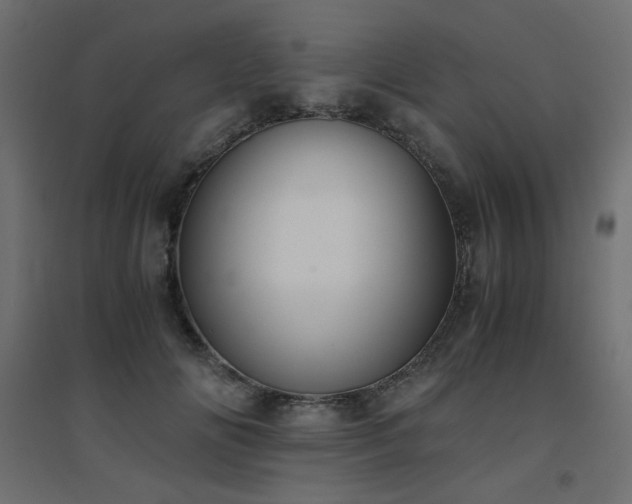 X0000094910702200711291255