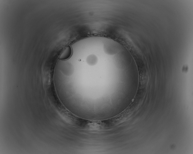 X0000094910703200711291255
