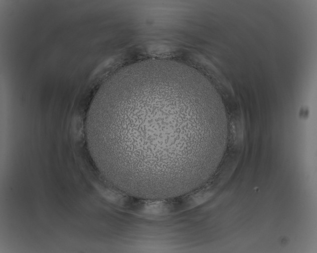 X0000094910705200711291255