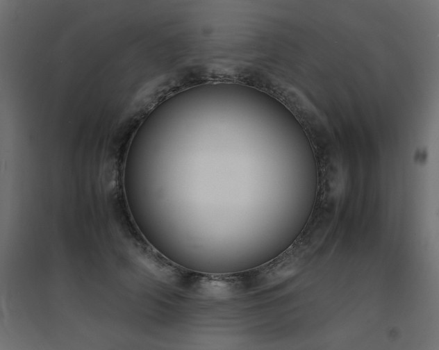 X0000094910706200711291255