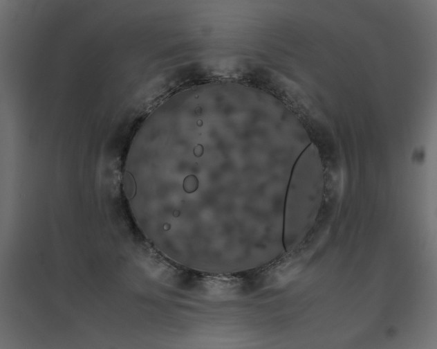 X0000094910707200711291255