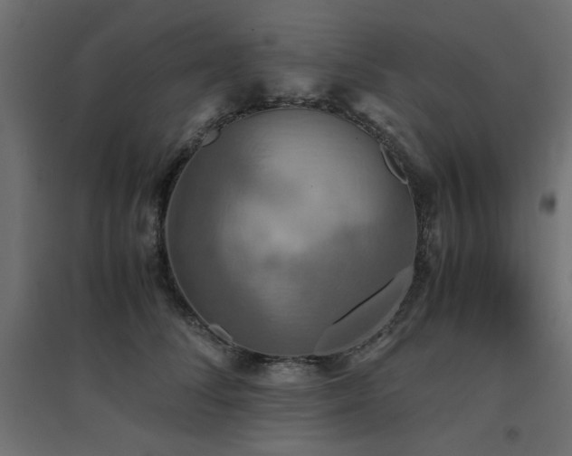 X0000094910708200711291255