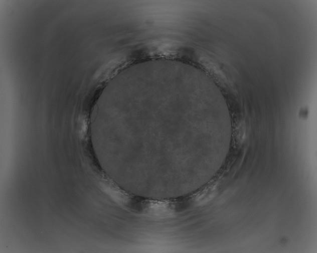 X0000094910709200711291255