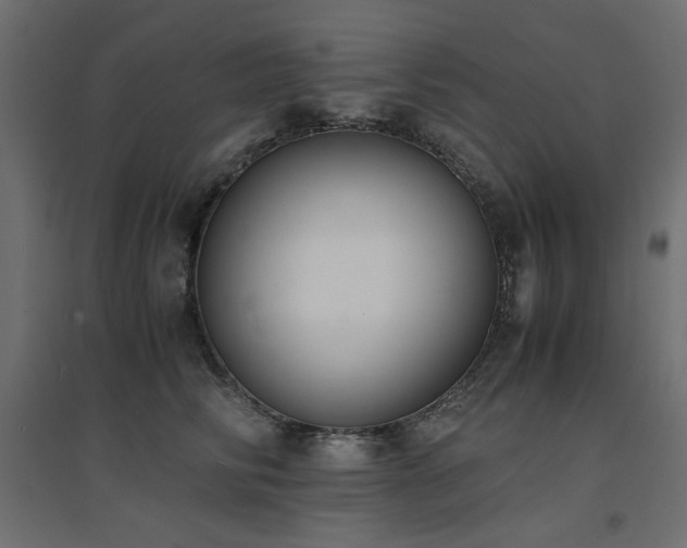 X0000094910710200711291255