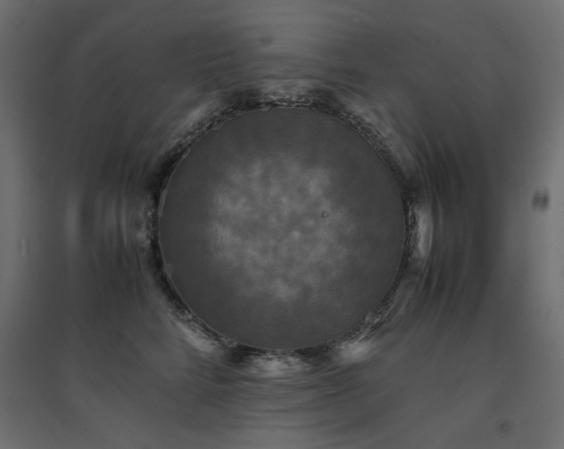 X0000094910712200711291255