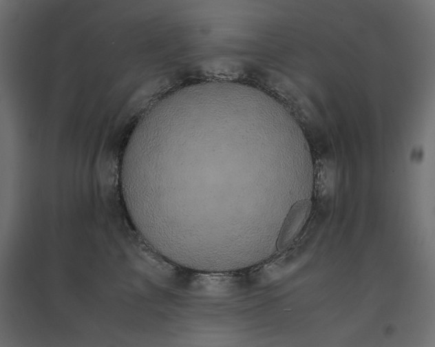 X0000094910713200711291255