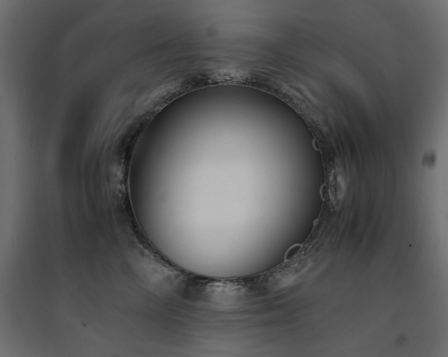 X0000094910714200711291255
