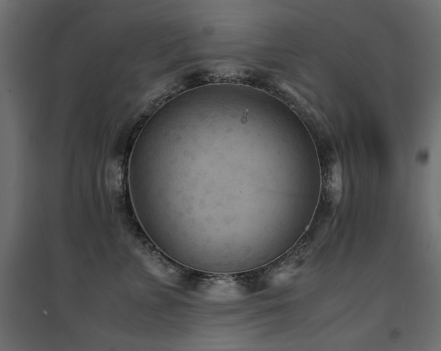 X0000094910715200711291255