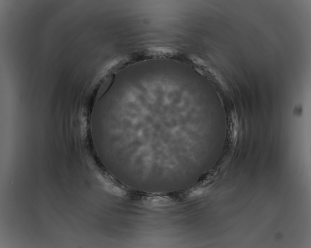X0000094910716200711291255