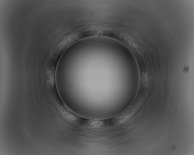 X0000094910719200711291255