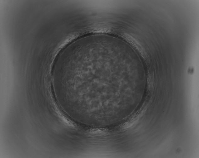 X0000094910721200711291254
