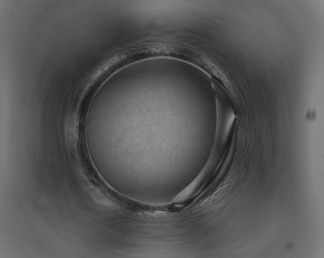 X0000094910722200711291254