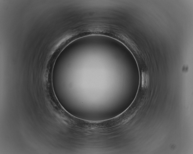 X0000094910723200711291254