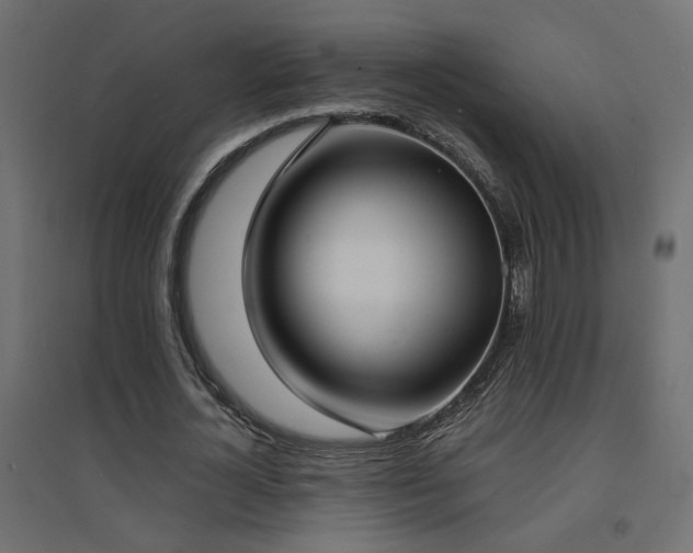 X0000094910724200711291254