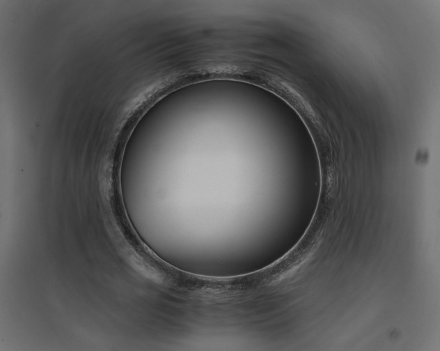 X0000094910725200711291254