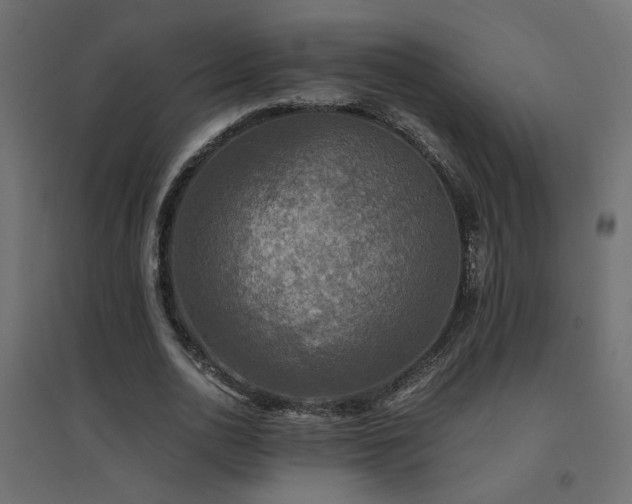 X0000094910726200711291254