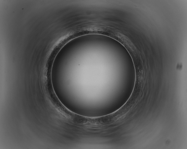 X0000094910727200711291254