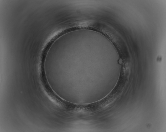 X0000094910728200711291254