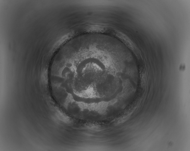 X0000094910729200711291254