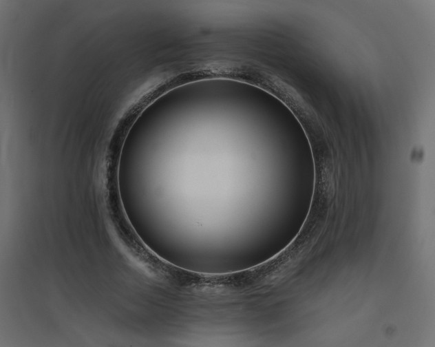 X0000094910730200711291255