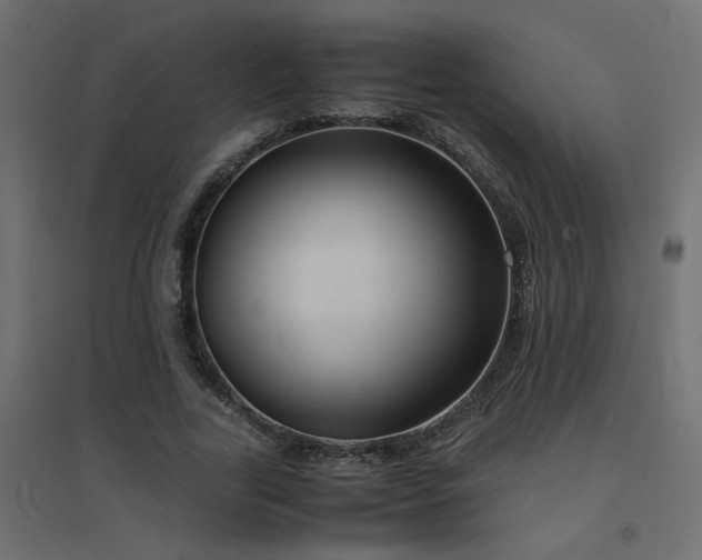 X0000094910731200711291255