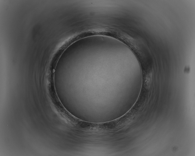 X0000094910732200711291255