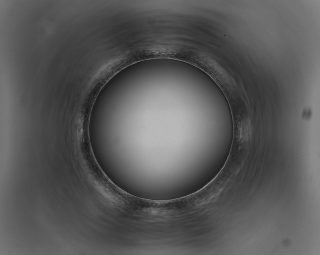 X0000094910733200711291255